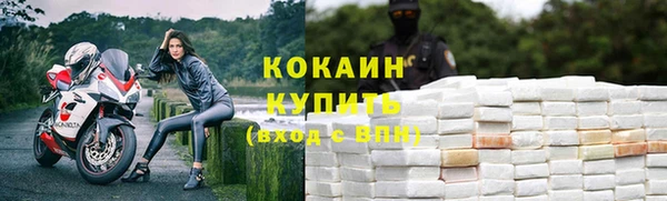 сатива Зерноград
