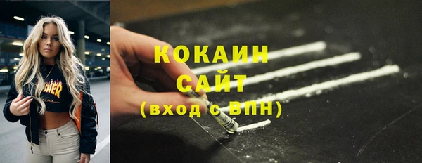 сатива Зерноград