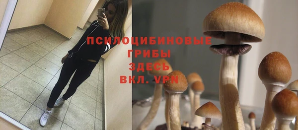 сатива Зерноград