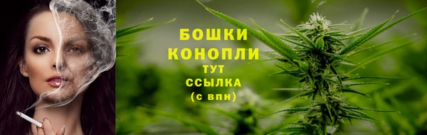 СК Зеленокумск