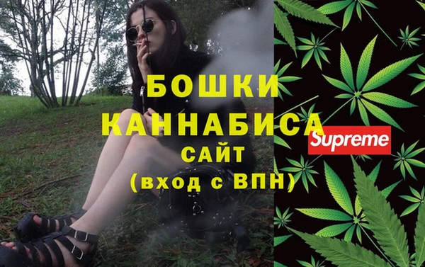 СК Зеленокумск