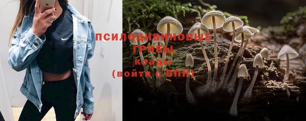 спайс Зеленодольск