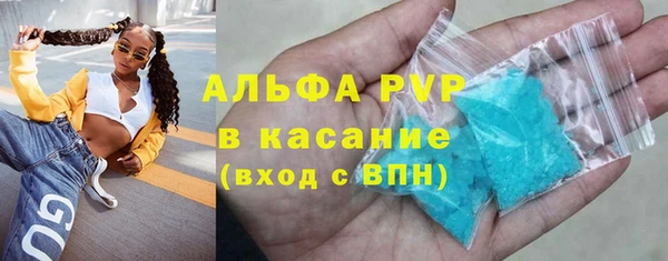 сатива Зерноград
